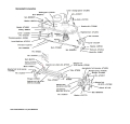 ATJ1003springdiagram