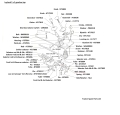 BLS110diagramHW