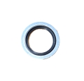 BSB-08 - Dowty Seal